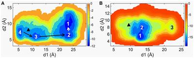 Deciphering the Allosteric Effect of Antagonist Vismodegib on Smoothened Receptor Deactivation Using Metadynamics Simulation